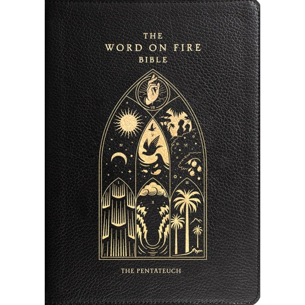 Word on Fire Bible (Volume III) - Skinn