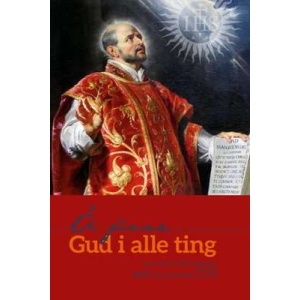 Å finne Gud i alle ting, Ignatiansk veiledning