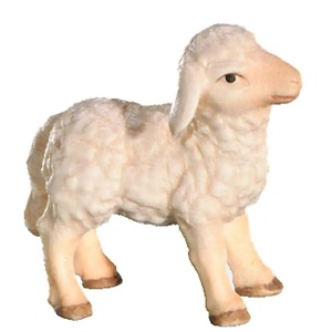 Lam - Krybbefigur "Leonardo"